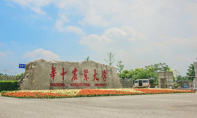华农